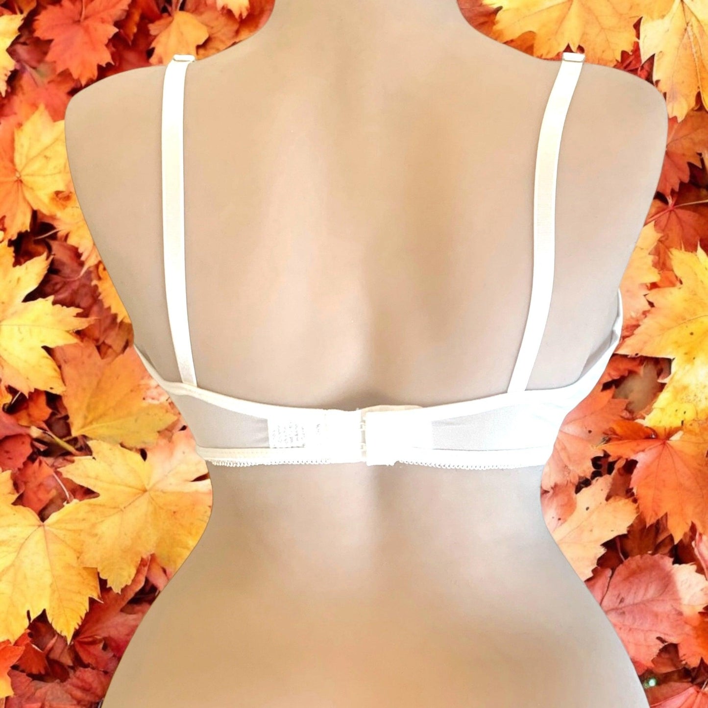 Soutien gorge 70C (UE) - Concept Beauty