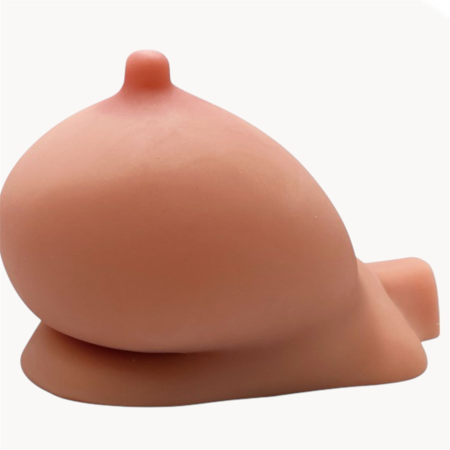 Coco’s Oppai NEO–Tentation Suprême Réinventée