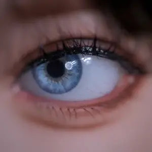 JigglyJoy Doll Eyes
