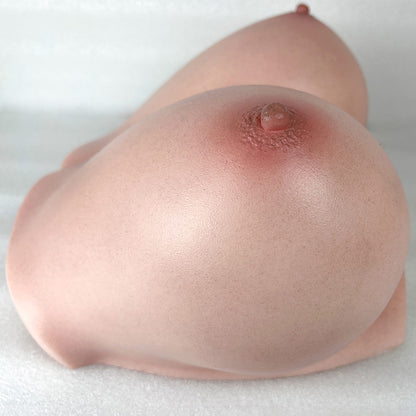 Si-B-86 – Torse sexuel seins réalistes XXL