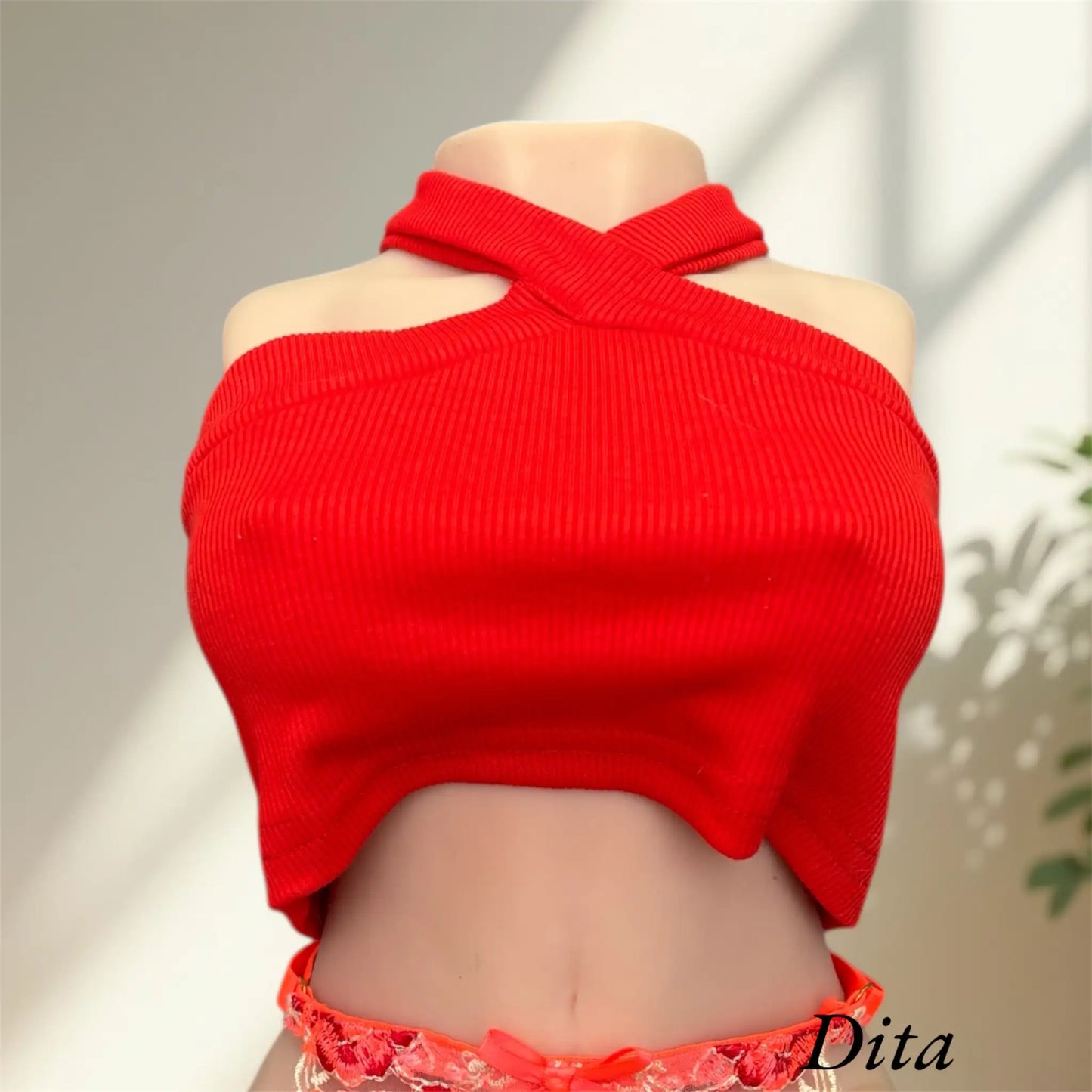 Dita in Red Criss Cross Top 