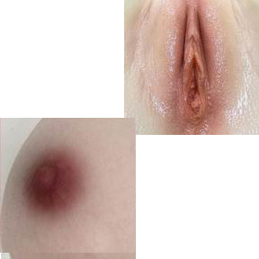 JigglyJoy Doll Nipple and Labia color