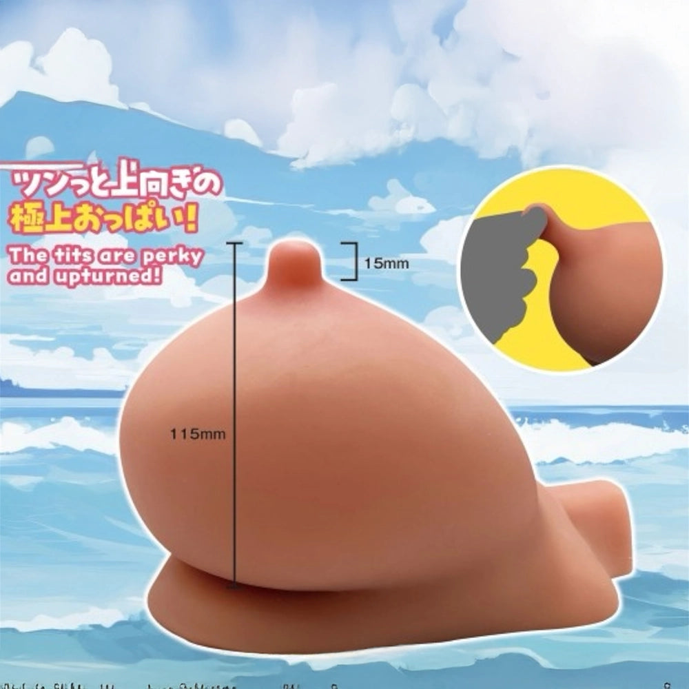 Coco's Oppai NEO – Höchste Versuchung neu interpretiert