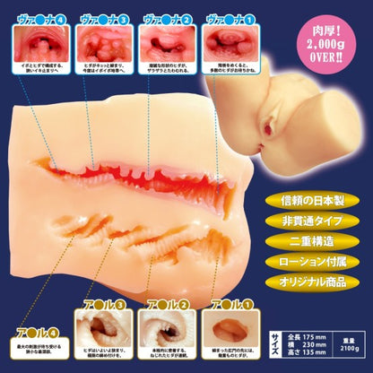 Kimijima Mio W Hole – Hüft-Onahole mit doppelter Stimulation | Alice Japan