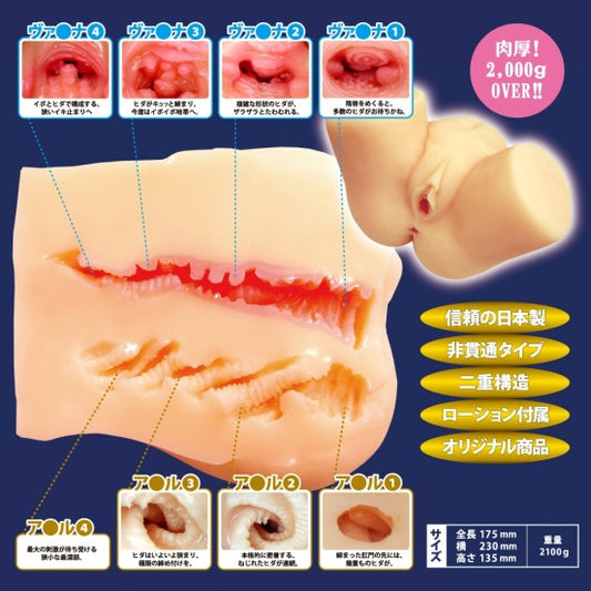 Kimijima Mio W Hole – Hüft-Onahole mit doppelter Stimulation | Alice Japan